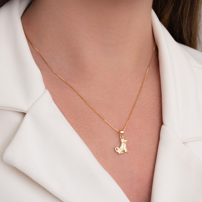 Colar Cachorro com Coleira Zircônia